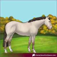 Horse Color:Amber Champagne Dun 
