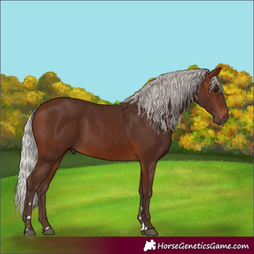 Horse Color:Silver Brown 