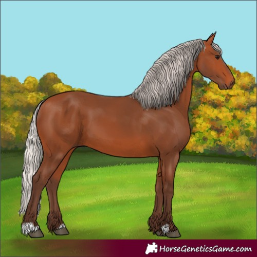 Horse Color:Silver Bay 