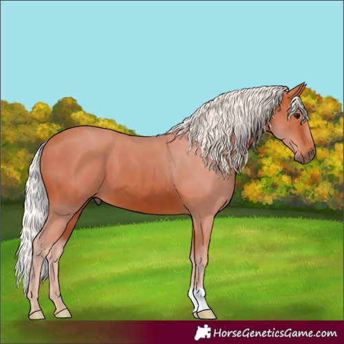 Horse Color:Silver Bay