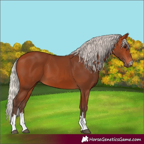 Horse Color:Silver Bay 
