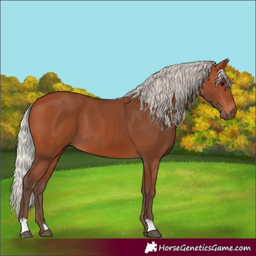Horse Color:Silver Bay 