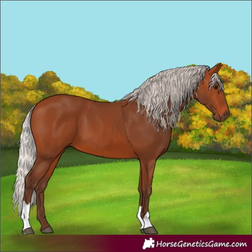 Horse Color:Silver Bay