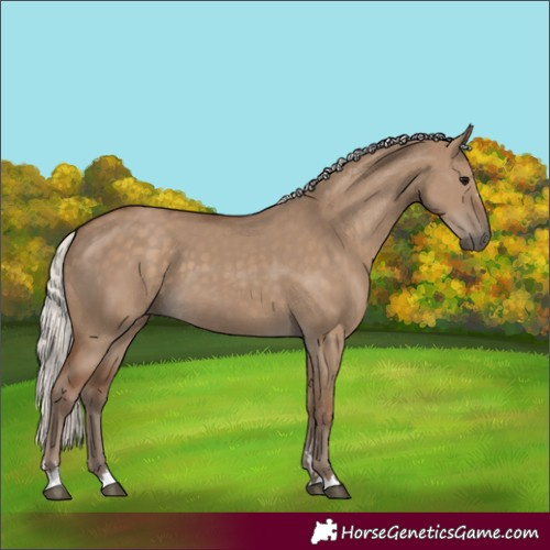 Horse Color:Silver Grullo 