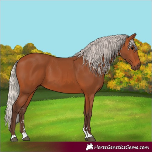 Horse Color:Silver Bay