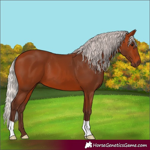 Horse Color:Silver Bay 