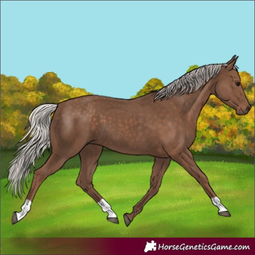 Horse Color:Silver Black 