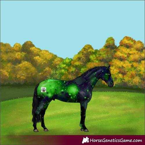 Horse Color:ERROR: UNKNOWN ANOMALY