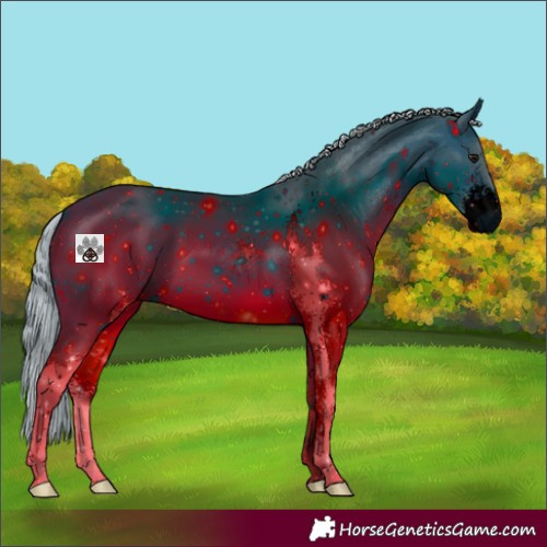 Horse Color:ERROR: UNKNOWN ANOMALY