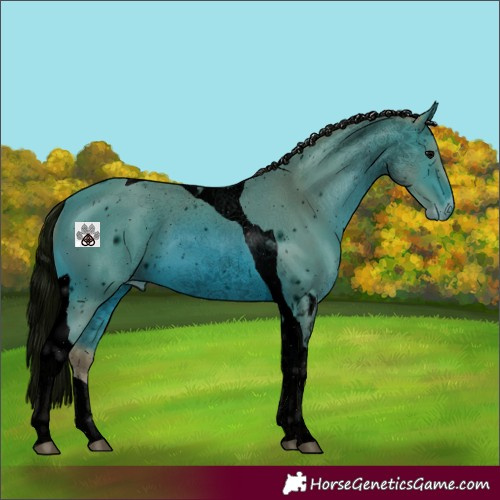 Horse Color:ERROR: UNKNOWN ANOMALY