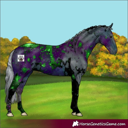 Horse Color:ERROR: UNKNOWN ANOMALY