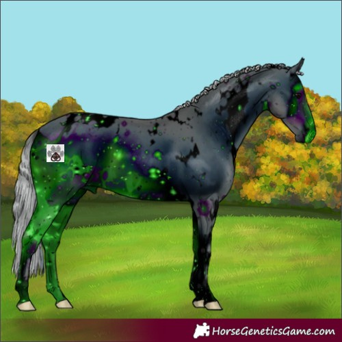 Horse Color:ERROR: UNKNOWN ANOMALY
