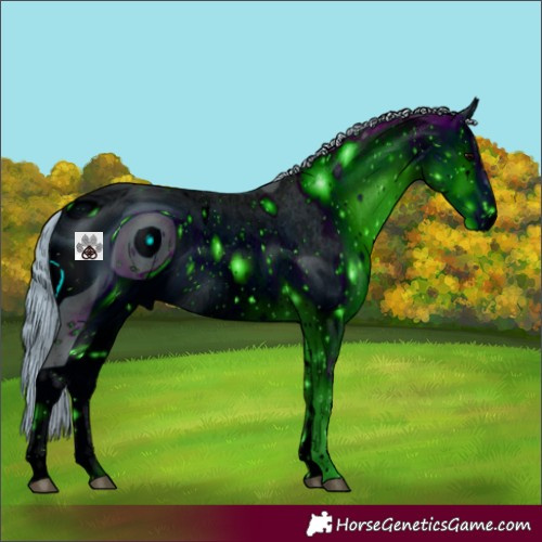 Horse Color:ERROR: UNKNOWN ANOMALY