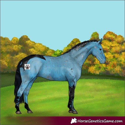 Horse Color:ERROR: UNKNOWN ANOMALY