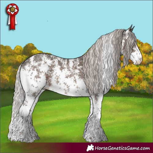 Horse Color:Silver Black Sabino 