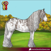 Horse Color:Silver Black Sabino 