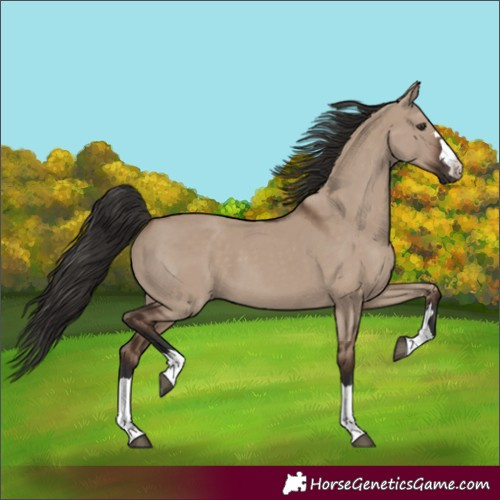 Horse Color:Liver Red Dun
