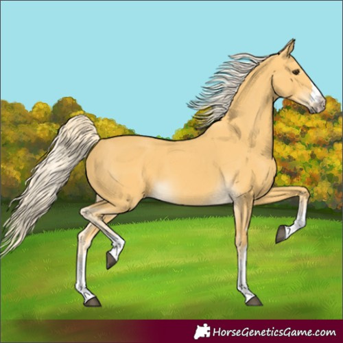 Horse Color:Palomino 