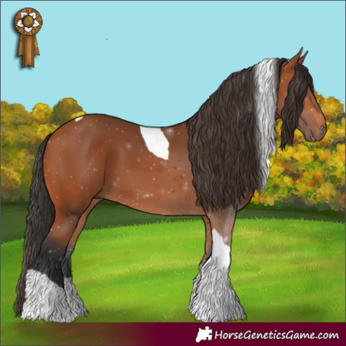 Horse Color:Bay Tobiano
