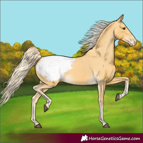 Horse Color:Palomino Snowcap 