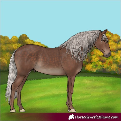 Horse Color:Silver Black