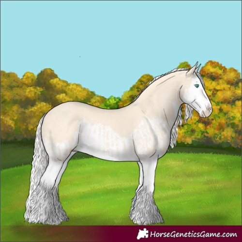 Horse Color:Cremello Splash and Cremello Splash