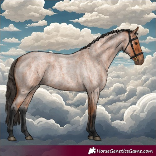 Horse Color:Bay Roan 