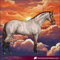 Horse Color:Bay Roan 