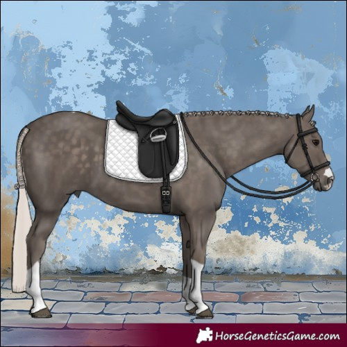 Horse Color:Silver Black Tobiano 