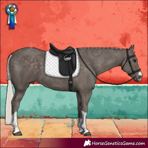 Horse Color:Silver Black Tobiano