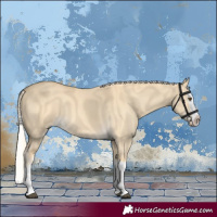 Horse Color:Palomino Dun Splash