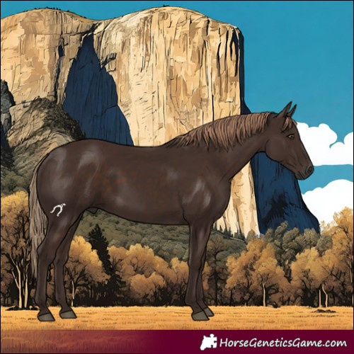 Horse Color:White Spotted Liver Chestnut