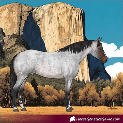 Horse Color:Brown Roan 