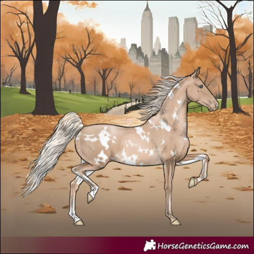 Horse Color:White Spotted Chocolate Palomino Pearl