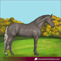 Horse Color:Silver Black 