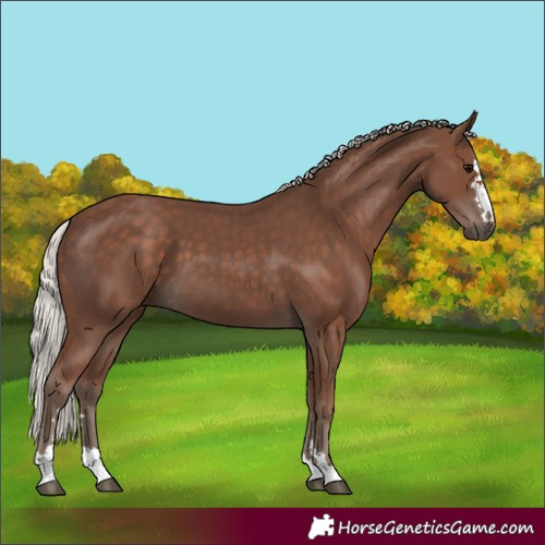 Horse Color:Silver Black 