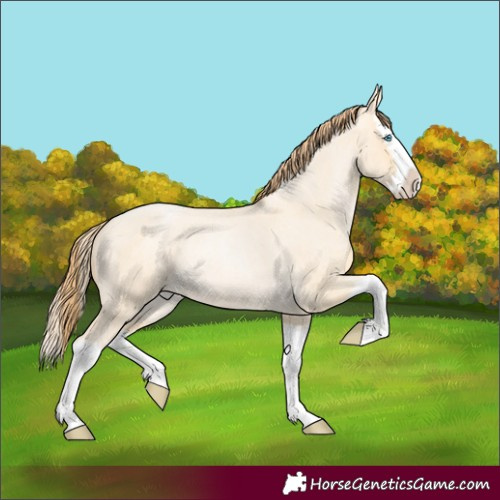 Horse Color:Buckskin Roan Pearl Dun Splash Rabicano 