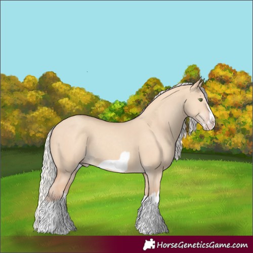Horse Color:Silver Classic Champagne Dun Splash Frame 