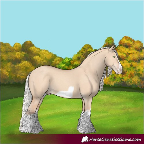Horse Color:Silver Classic Champagne Dun Splash Frame 