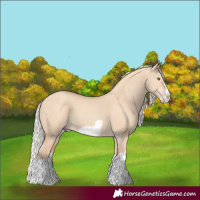 Horse Color:Silver Classic Champagne Dun Splash Frame 