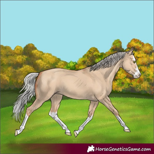 Horse Color:Silver Classic Champagne Dun Splash 