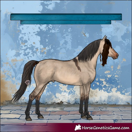 Horse Color:Bay Dun 