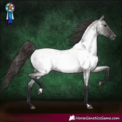 Horse Color:Grullo Roan Near Fewspot Rabicano 