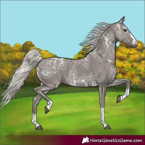 Horse Color:Silver Smoky Black Ice