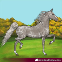 Horse Color:Silver Smoky Black Ice 