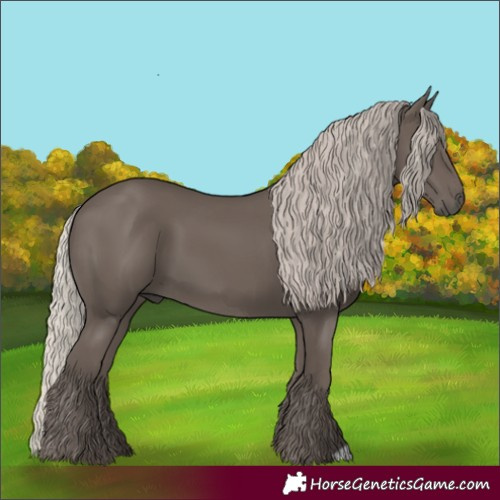 Horse Color:Silver Black 