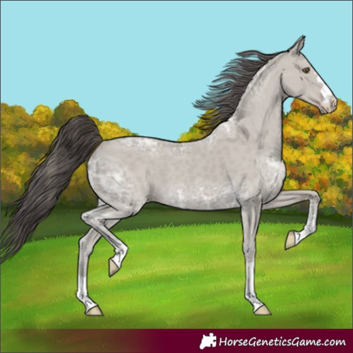 Horse Color:Classic Cream Champagne Ice 