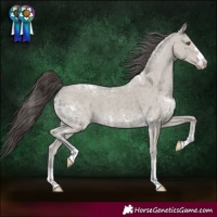 Horse Color:Classic Cream Champagne Ice 