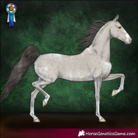 Horse Color:Classic Cream Champagne Ice 