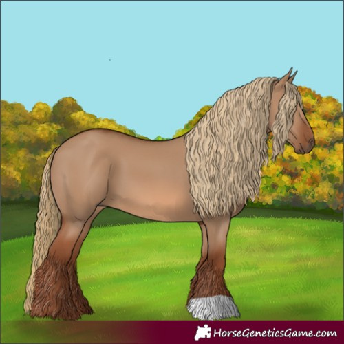 Horse Color:Red Dun 
